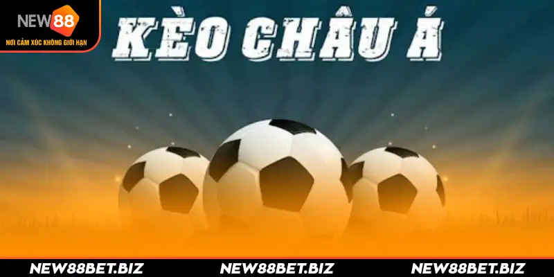 Kèo Châu Á Là Gì - New88 Hé Lộ 3 Bí Kíp Soi Kèo Hay