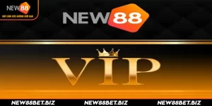 New88 Club - CLB Thành Viên Vip Với Nhiều Quyền Lợi Hấp Dẫn