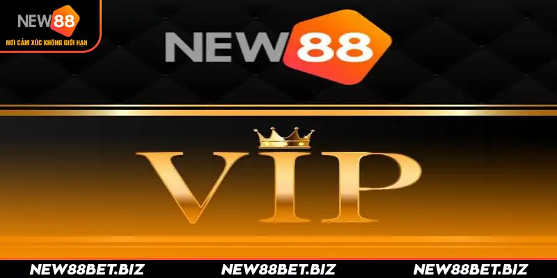 New88 Club - CLB Thành Viên Vip Với Nhiều Quyền Lợi Hấp Dẫn