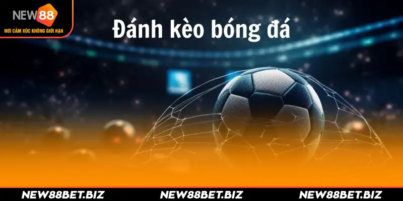 Nhận định, soi kèo Châu Âu trong các trận Euro 2024