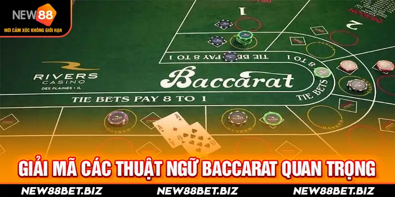 Giải mã các thuật ngữ Baccarat quan trọng