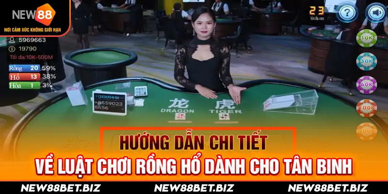 Hướng dẫn chi tiết về luật chơi Rồng Hổ dành cho tân binh