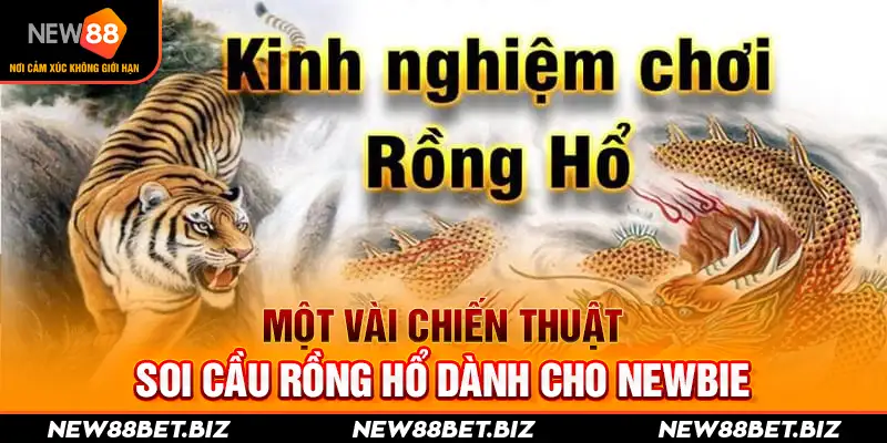 Một vài chiến thuật soi cầu Rồng Hổ dành cho newbie