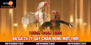 Tường Thuật Trận Đá Gà 24 Tỷ Gây Chấn Động Một Thời