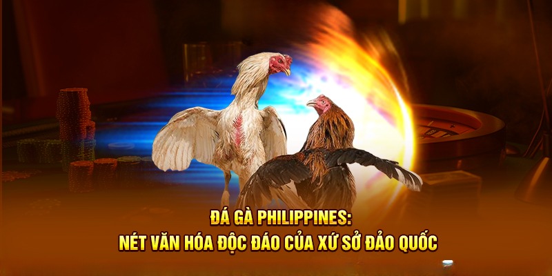 Đôi nét về chọi kê Philippines tại nhà cái New88