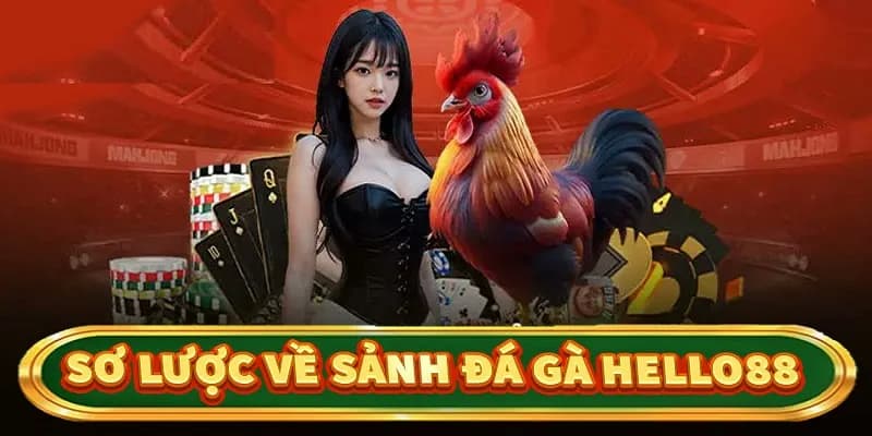 Sơ lược thông tin về sảnh đá gà Hello88