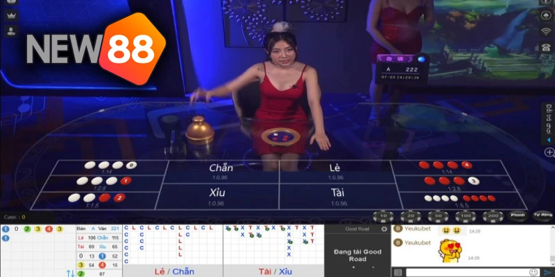 ผู้เล่นไทยกำลังวางเดิมพันซิกโบบนมือถือ